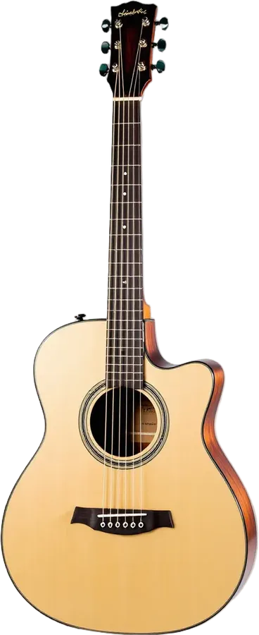Gitara akustyczna z płytą świerkową i boczkami z palisandru